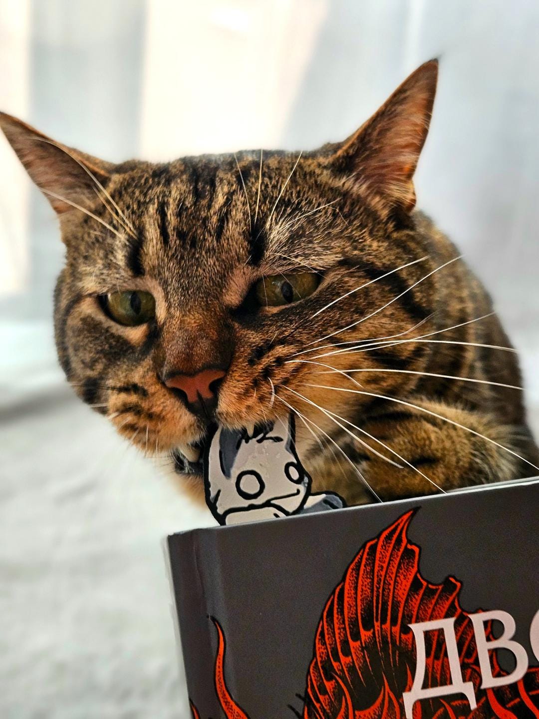 Gatto Zombie